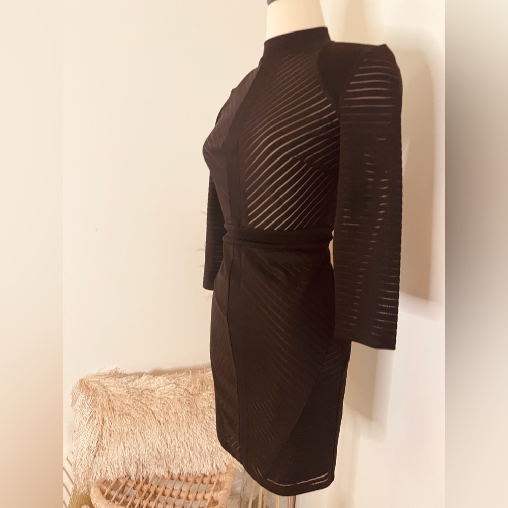 Long Sleeves Stripe Sheer Black Dress